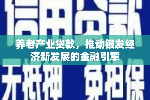 塔什库尔干塔吉克养老产业贷款，推动银发经济新发展的金融引擎
