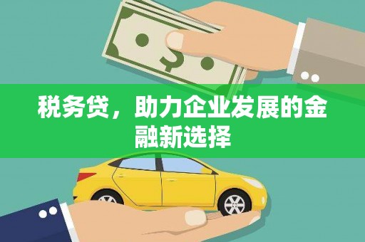塔什库尔干塔吉克税务贷，助力企业发展的金融新选择