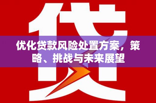 塔什库尔干塔吉克优化贷款风险处置方案，策略、挑战与未来展望
