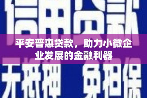 塔什库尔干塔吉克平安普惠贷款，助力小微企业发展的金融利器