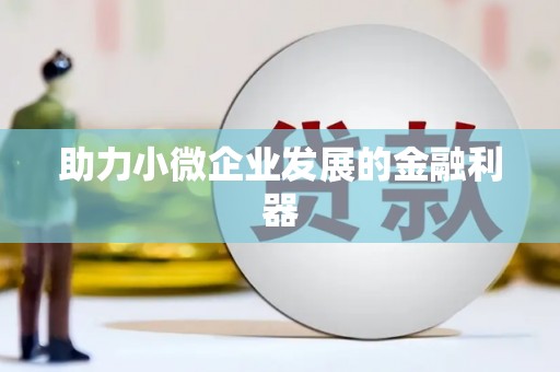 塔什库尔干塔吉克助力小微企业发展的金融利器