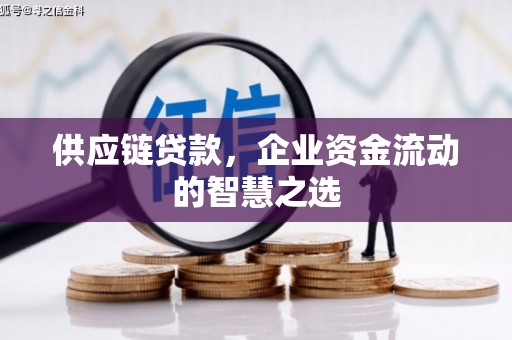 塔什库尔干塔吉克供应链贷款，企业资金流动的智慧之选