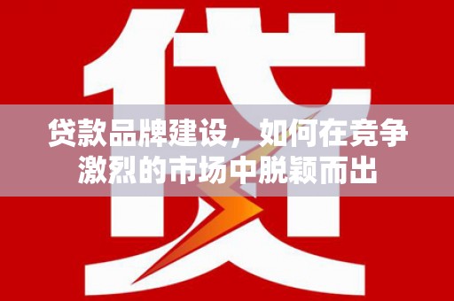 塔什库尔干塔吉克贷款品牌建设，如何在竞争激烈的市场中脱颖而出