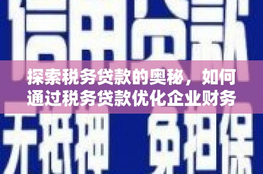 塔什库尔干塔吉克探索税务贷款的奥秘，如何通过税务贷款优化企业财务
