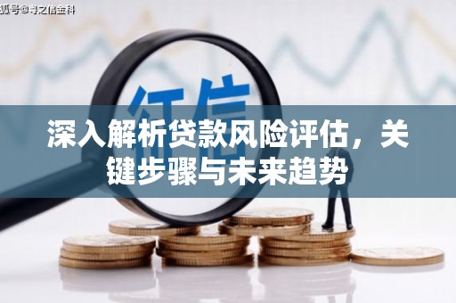 塔什库尔干塔吉克深入解析贷款风险评估，关键步骤与未来趋势