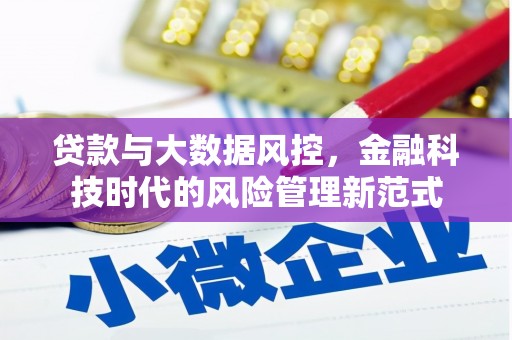 塔什库尔干塔吉克贷款与大数据风控，金融科技时代的风险管理新范式