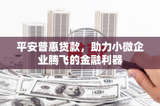 塔什库尔干塔吉克平安普惠贷款，助力小微企业腾飞的金融利器