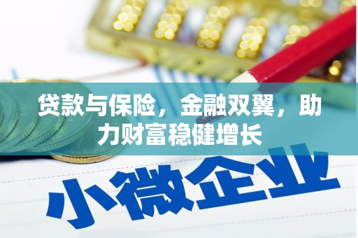 塔什库尔干塔吉克贷款与保险，金融双翼，助力财富稳健增长