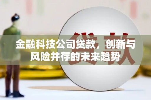塔什库尔干塔吉克金融科技公司贷款，创新与风险并存的未来趋势