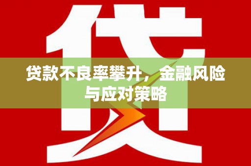 塔什库尔干塔吉克贷款不良率攀升，金融风险与应对策略