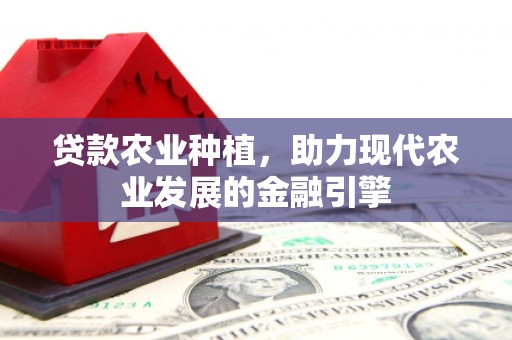 塔什库尔干塔吉克贷款农业种植，助力现代农业发展的金融引擎