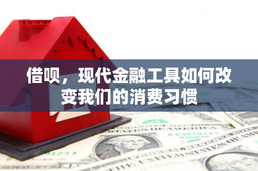塔什库尔干塔吉克借呗，现代金融工具如何改变我们的消费习惯