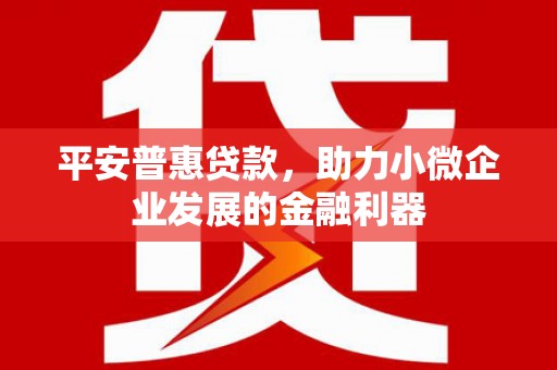 塔什库尔干塔吉克平安普惠贷款，助力小微企业发展的金融利器