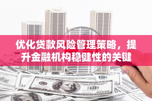 塔什库尔干塔吉克优化贷款风险管理策略，提升金融机构稳健性的关键