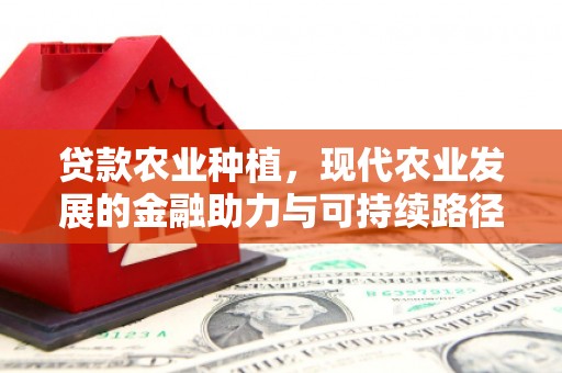 塔什库尔干塔吉克贷款农业种植，现代农业发展的金融助力与可持续路径