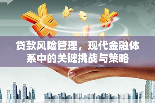 塔什库尔干塔吉克贷款风险管理，现代金融体系中的关键挑战与策略