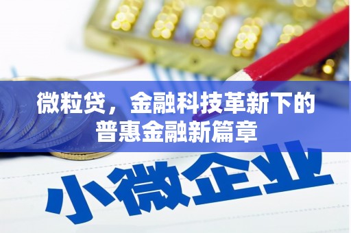 塔什库尔干塔吉克微粒贷，金融科技革新下的普惠金融新篇章