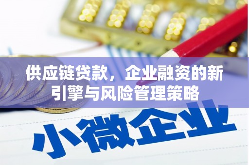 塔什库尔干塔吉克供应链贷款，企业融资的新引擎与风险管理策略