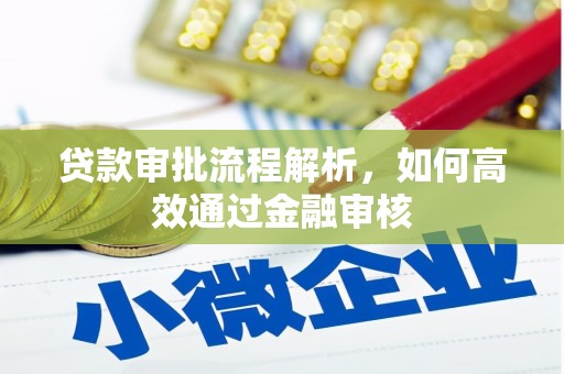 塔什库尔干塔吉克贷款审批流程解析，如何高效通过金融审核