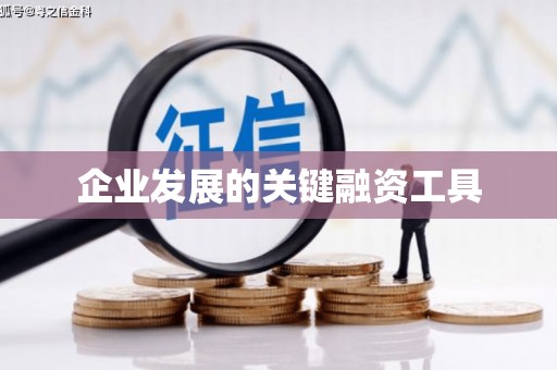 塔什库尔干塔吉克企业发展的关键融资工具