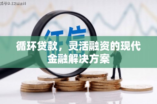 塔什库尔干塔吉克循环贷款，灵活融资的现代金融解决方案