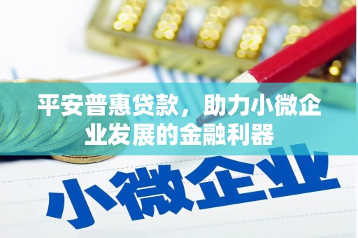 塔什库尔干塔吉克平安普惠贷款，助力小微企业发展的金融利器