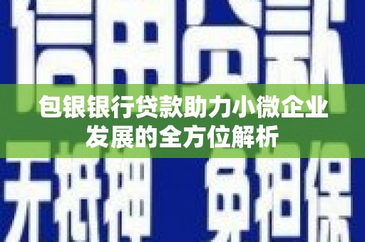 塔什库尔干塔吉克包银银行贷款助力小微企业发展的全方位解析