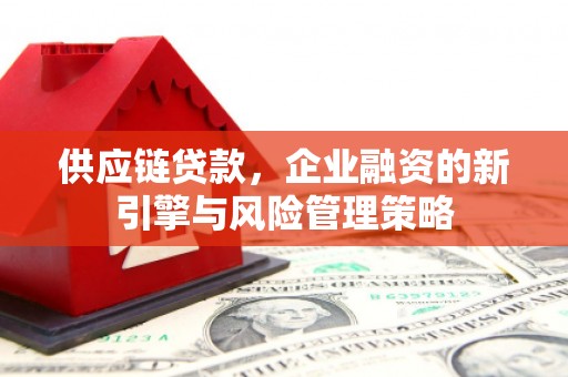 塔什库尔干塔吉克供应链贷款，企业融资的新引擎与风险管理策略