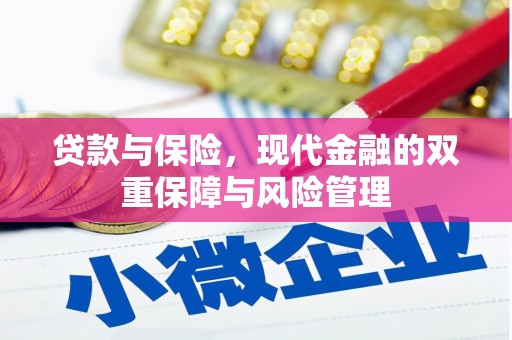 塔什库尔干塔吉克贷款与保险，现代金融的双重保障与风险管理