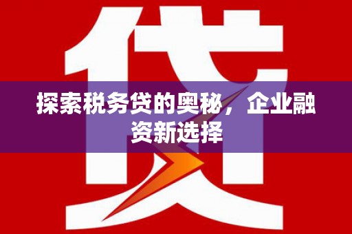塔什库尔干塔吉克探索税务贷的奥秘，企业融资新选择