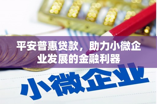 塔什库尔干塔吉克平安普惠贷款，助力小微企业发展的金融利器