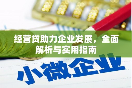 塔什库尔干塔吉克经营贷助力企业发展，全面解析与实用指南