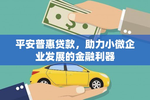 塔什库尔干塔吉克平安普惠贷款，助力小微企业发展的金融利器