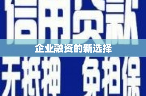 塔什库尔干塔吉克企业融资的新选择