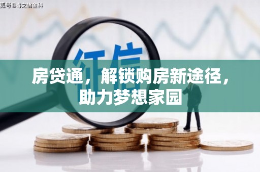 塔什库尔干塔吉克房贷通，解锁购房新途径，助力梦想家园