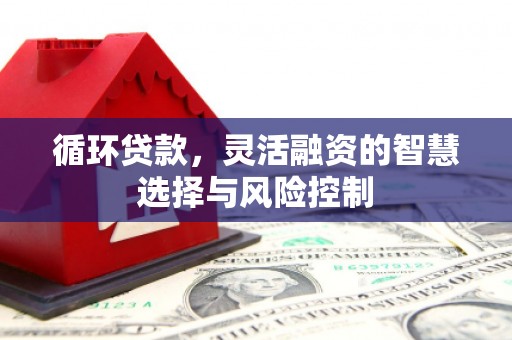 塔什库尔干塔吉克循环贷款，灵活融资的智慧选择与风险控制