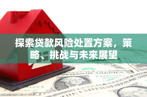 塔什库尔干塔吉克探索贷款风险处置方案，策略、挑战与未来展望