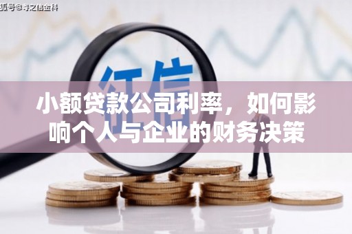 塔什库尔干塔吉克小额贷款公司利率，如何影响个人与企业的财务决策