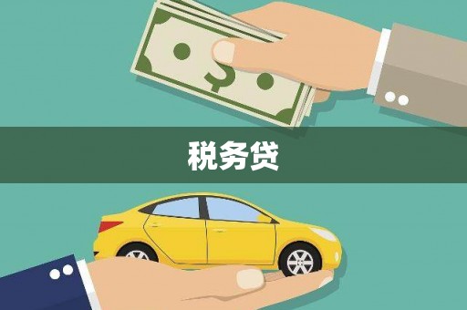塔什库尔干塔吉克税务贷