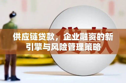 塔什库尔干塔吉克供应链贷款，企业融资的新引擎与风险管理策略