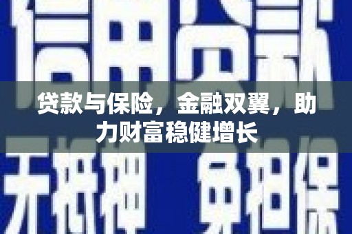塔什库尔干塔吉克贷款与保险，金融双翼，助力财富稳健增长