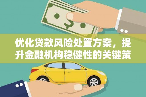 塔什库尔干塔吉克优化贷款风险处置方案，提升金融机构稳健性的关键策略
