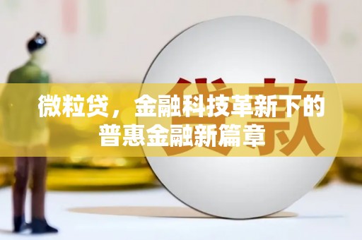 塔什库尔干塔吉克微粒贷，金融科技革新下的普惠金融新篇章