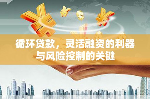 塔什库尔干塔吉克循环贷款，灵活融资的利器与风险控制的关键