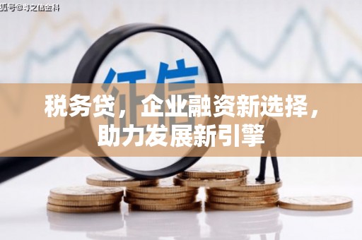 塔什库尔干塔吉克税务贷，企业融资新选择，助力发展新引擎