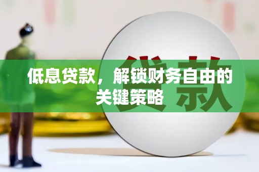 塔什库尔干塔吉克低息贷款，解锁财务自由的关键策略