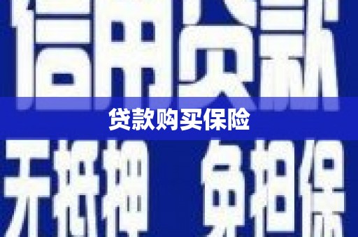 塔什库尔干塔吉克贷款购买保险