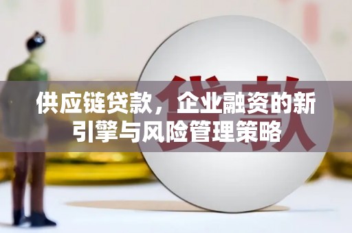 塔什库尔干塔吉克供应链贷款，企业融资的新引擎与风险管理策略