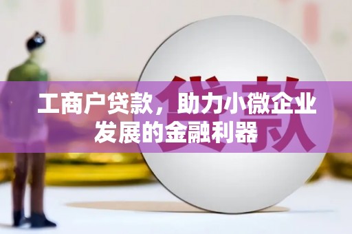 塔什库尔干塔吉克工商户贷款，助力小微企业发展的金融利器