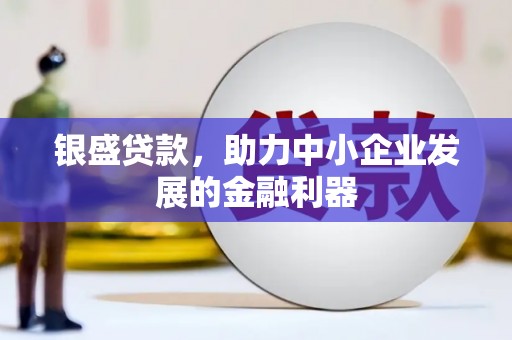 塔什库尔干塔吉克银盛贷款，助力中小企业发展的金融利器